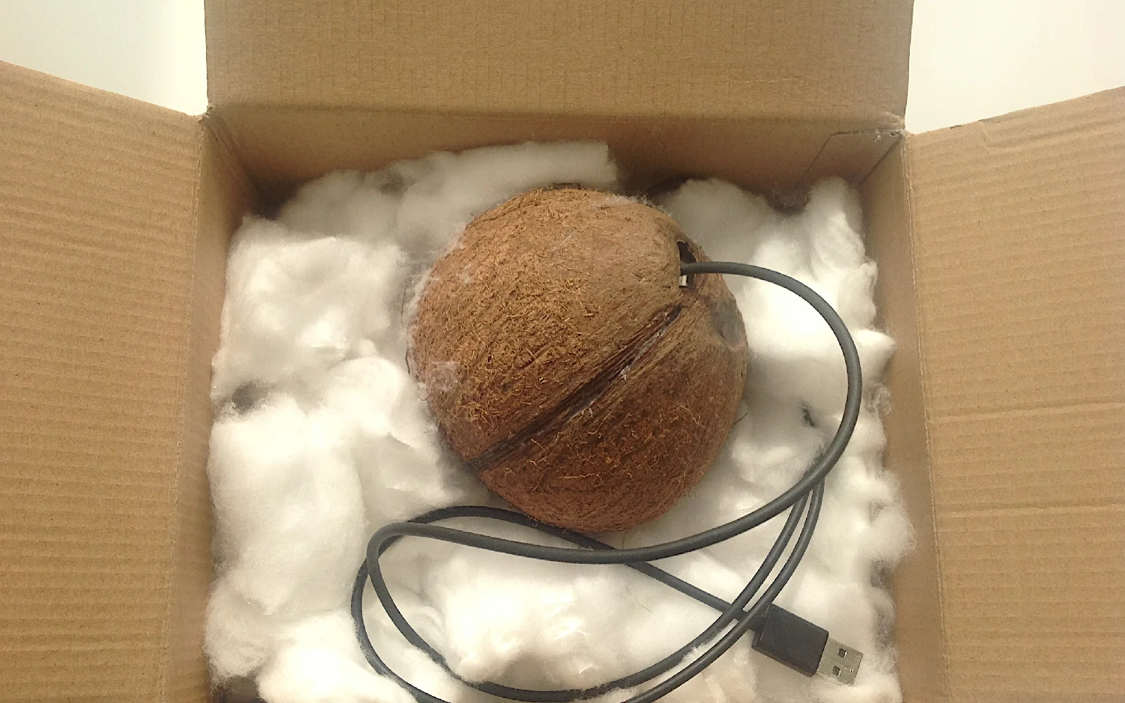 Erotic coconut